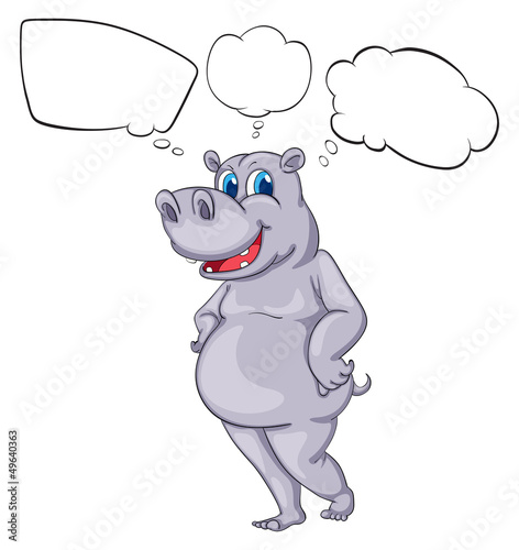 A hippopotamus
