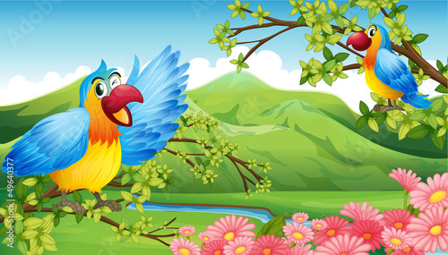 Two colorful parrots in a mountain scenery
