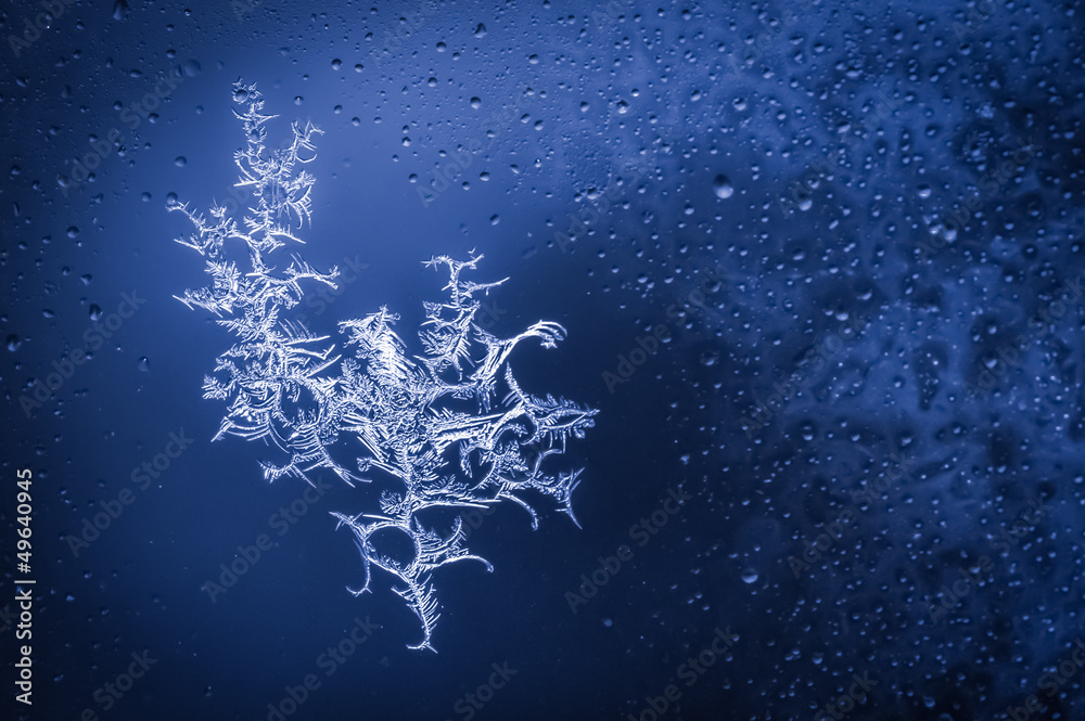 Obraz premium blue toned ice crystals forming on wet glass