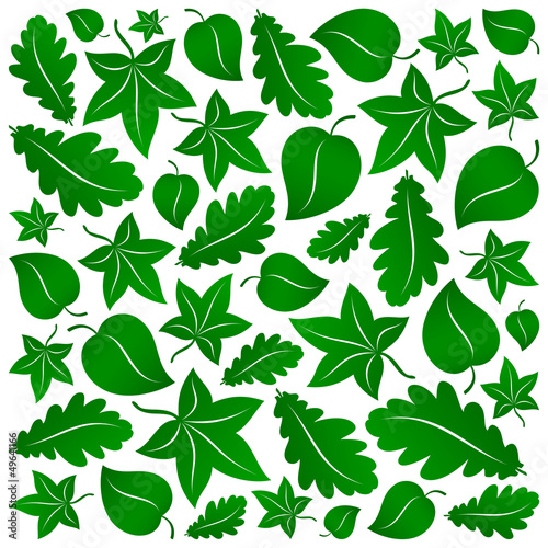green leaves background