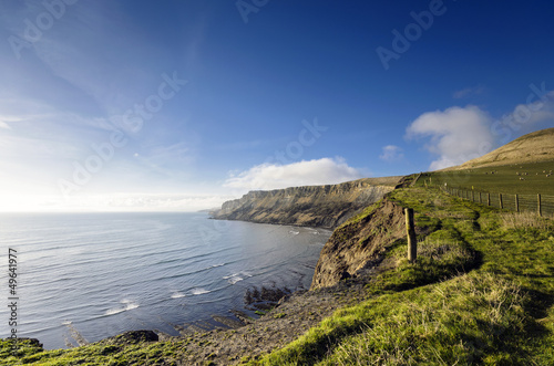 Gad Cliff on Dorset's Jurassic Coast photo