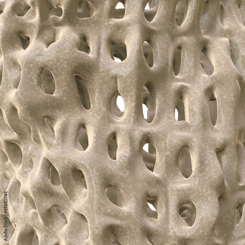 Osteoporose - Macro - 3D render