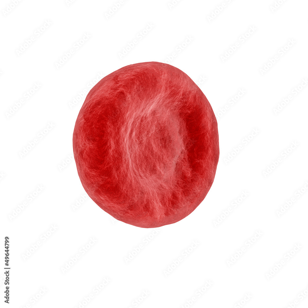 Fototapeta premium Red Blood Cell isolated on white