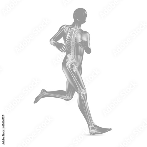 3D-Illustration: Jogging / Skelett Röntgenbild
