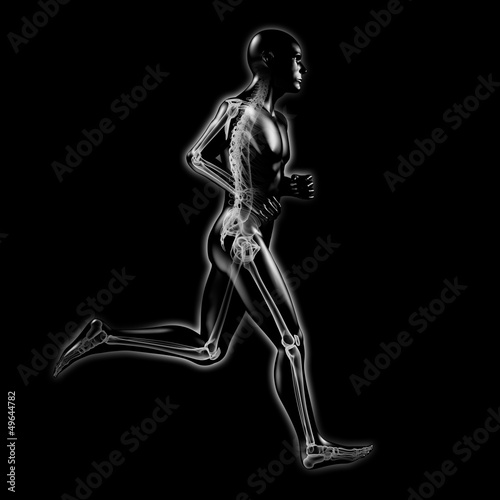 3D-Grafik: Jogging / Skelett Röntgenbild