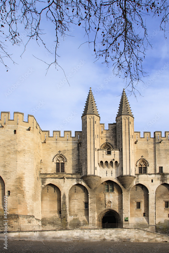 The entrance to The Popes' Palace in Avignon, France