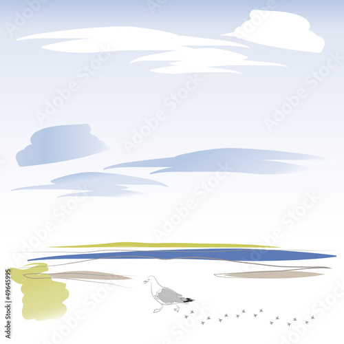 Möve am Strand - Sommer - Urlaub - Meer, Hintergrund für ein Kartenmotiv vom Meer, Strandurlaub, Ostsee, Nordsee, regionaler Tourismus
