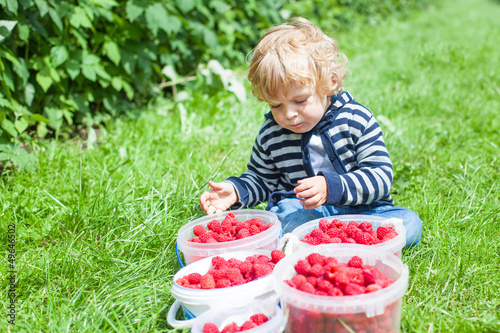 Little toddler boy with a lot of bowl with fresh ripe raspberrie