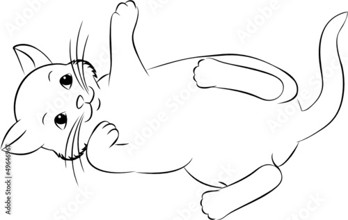 niedliche Katze