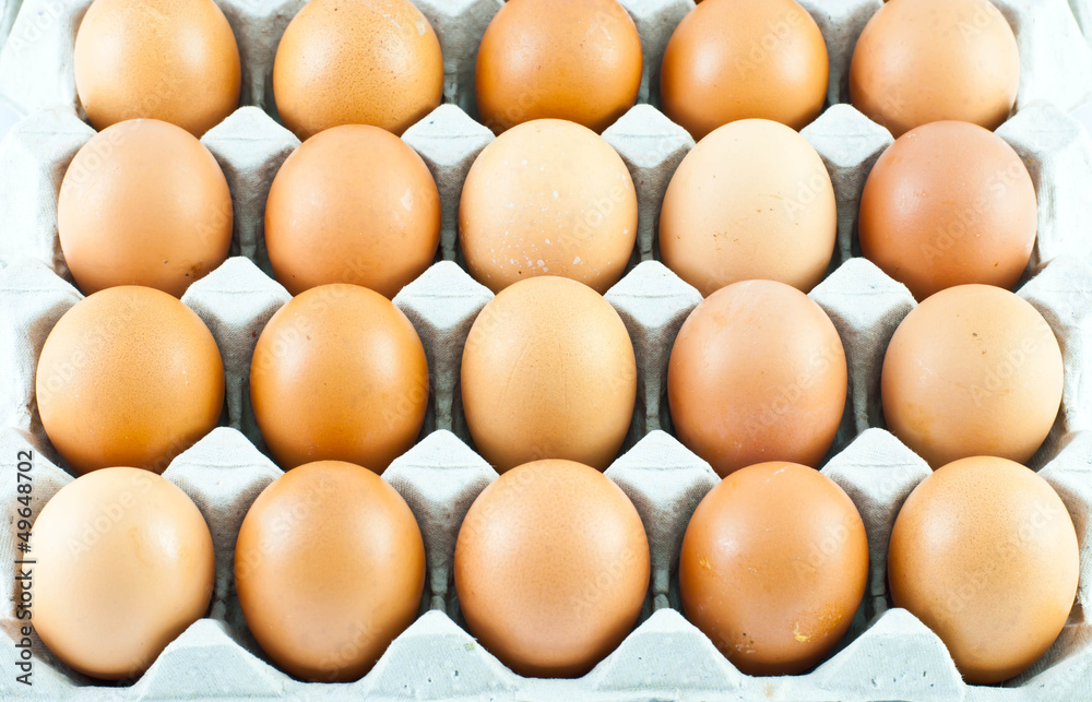 Fresh eggs in carton box Fresh eggs in carton box