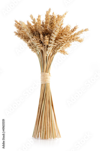 Obraz na plátně Sheaf of ripe wheat