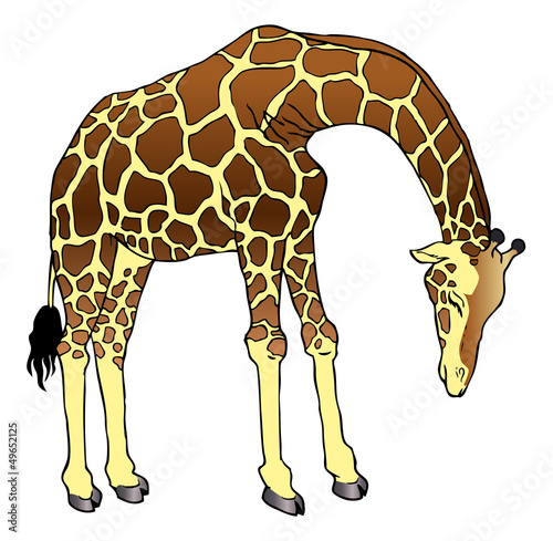 Sad Giraffe
