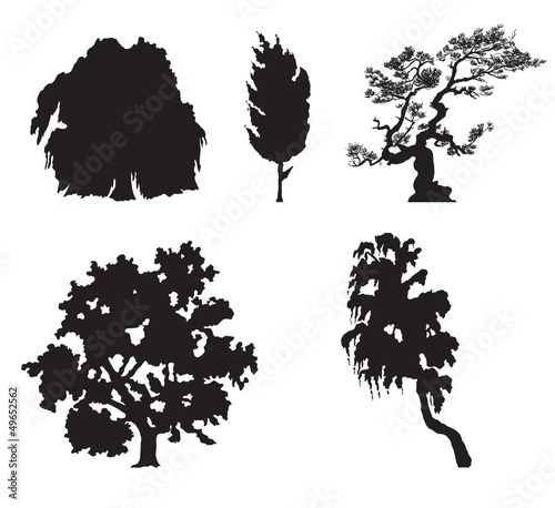 Tree silhouettes