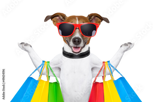 shopping dog #49654196