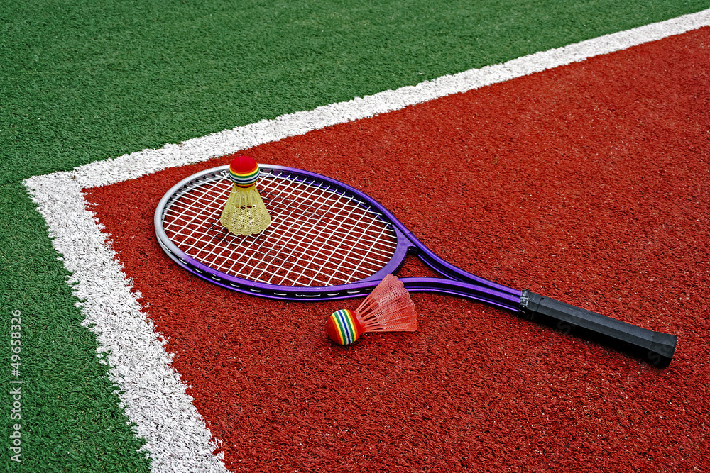 Badminton shuttlecocks & Racket-7