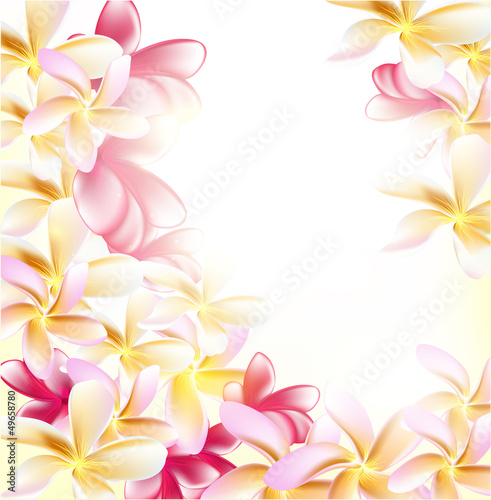 Cute  vector gardenia flowers on white background