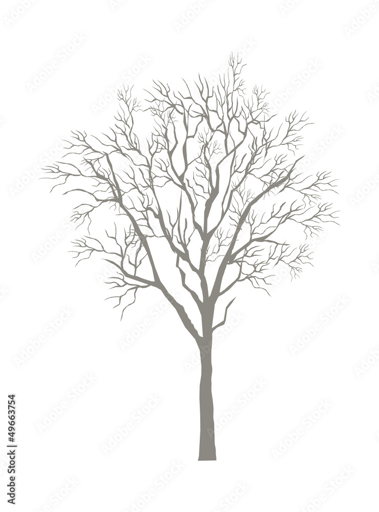 Fototapeta premium icon_Tree