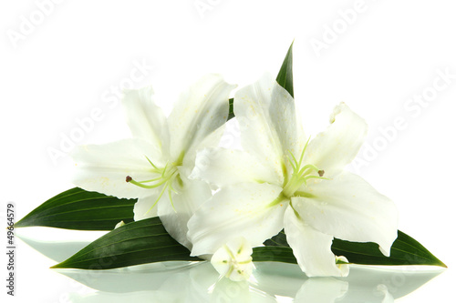 Fototapeta Naklejka Na Ścianę i Meble -  Beautiful lily, isolated on white