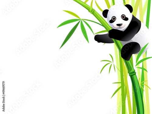 panda on bamboo