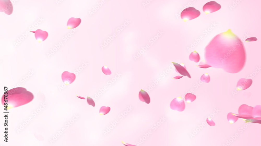 舞い散る花びら 舞い散る花びら