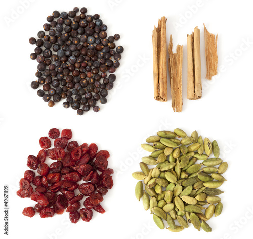 Four Spices and Berries for Gin Tonic