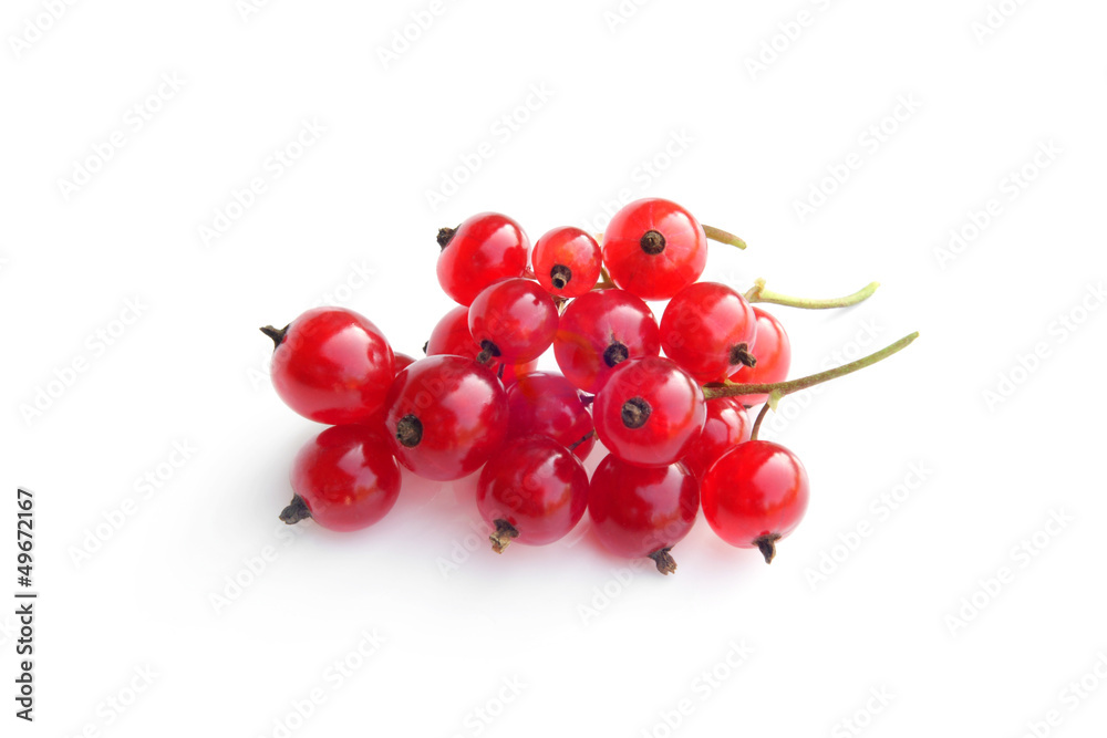 Berries of a red currant