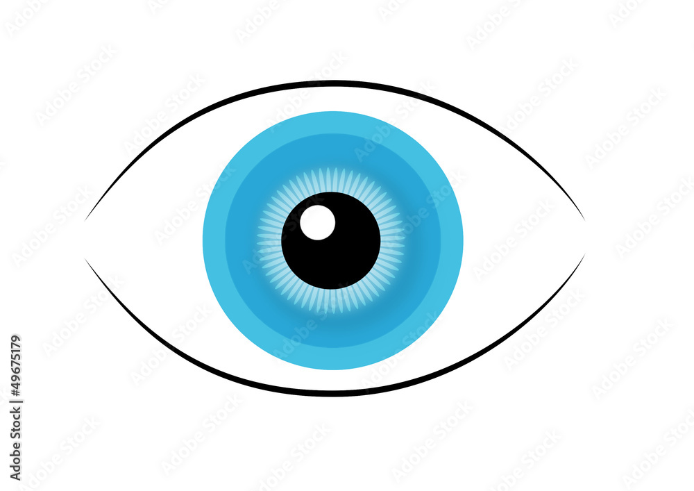 Auge aus Vektoren Auge aus Vektoren