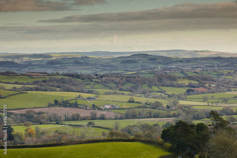 The rolling hills of West Dorset.