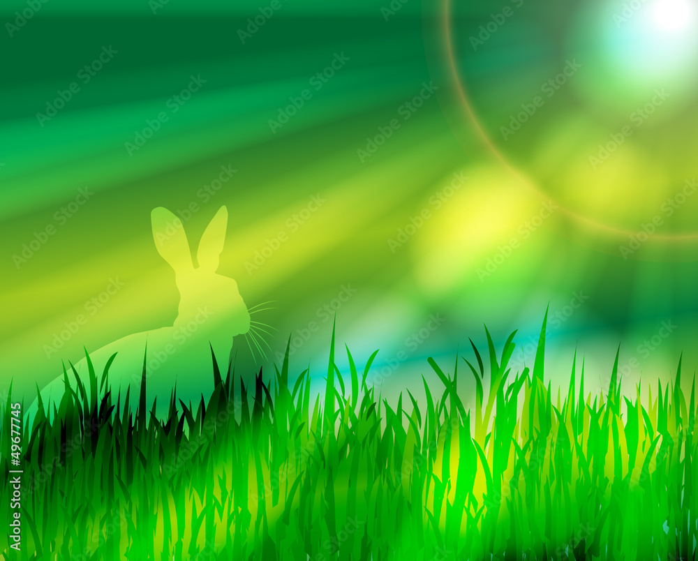 Wiese mit Hase