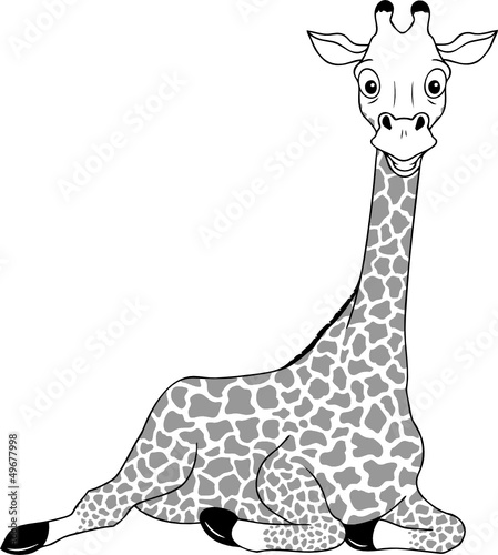 Grinsende Giraffe