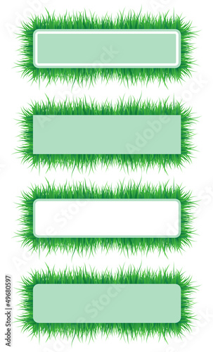 Frame of the green grass