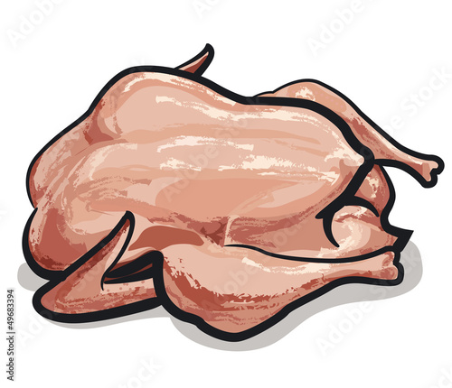Raw chicken