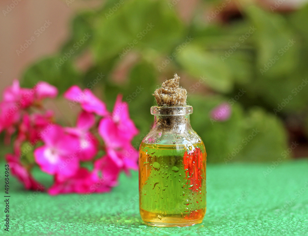 Geranium oil in glass bottle Geranium oil in glass bottle