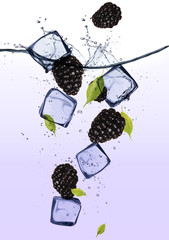 Fototapete Obst im Eis Brombeeren mit Eiswürfeln  © Jag_cz