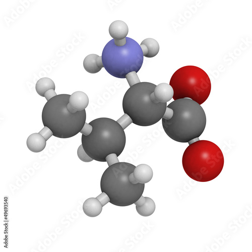 Valine  Val  V  amino acid  molecular model.