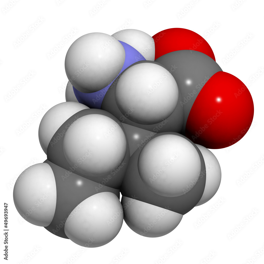 Isoleucine (Ile, I) amino acid, molecular model. Isoleucine (Ile, I) amino acid, molecular model.