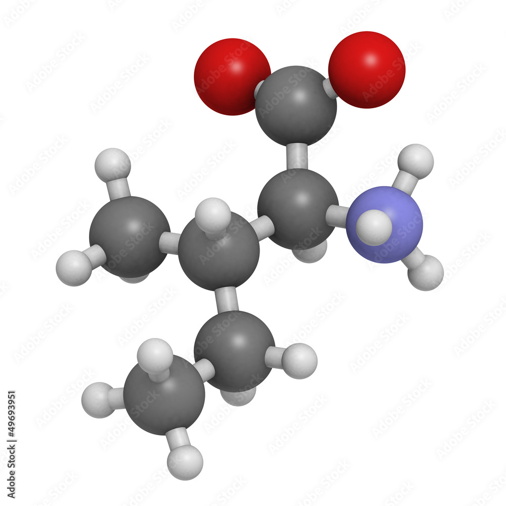 Isoleucine (Ile, I) amino acid, molecular model. Isoleucine (Ile, I) amino acid, molecular model.