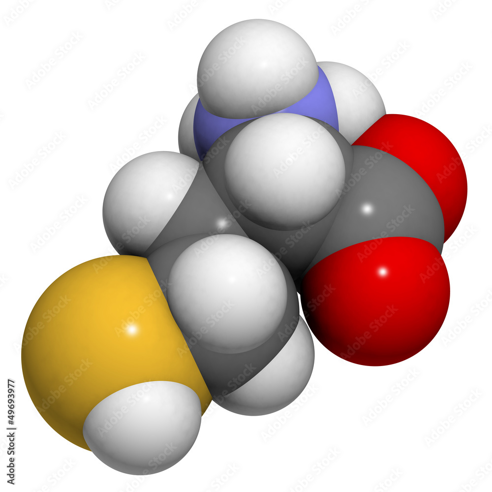 Homocysteine (Hcy) amino acid, molecular model. Homocysteine (Hcy) amino acid, molecular model.