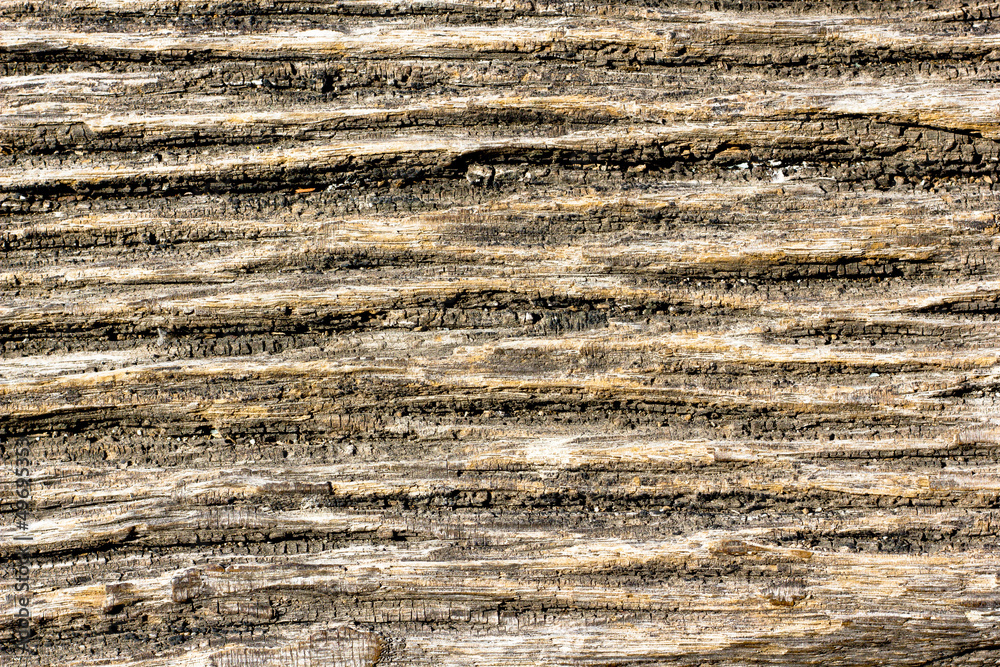 Old painted wood texture