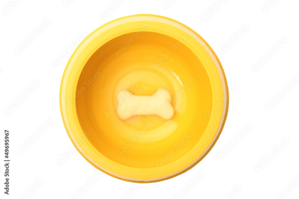 Dog bowl and beige bone
