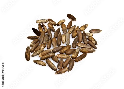Jalghoza or Pine Nuts