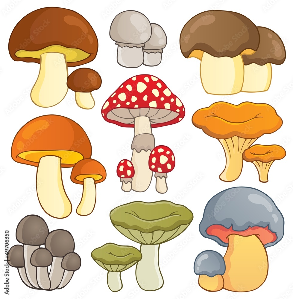 Mushroom theme collection 1 Mushroom theme collection 1