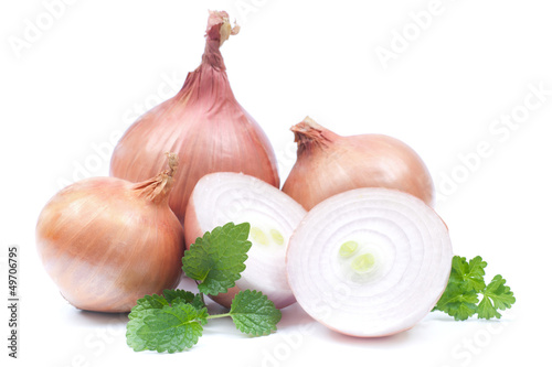 Frische Zwiebeln photo