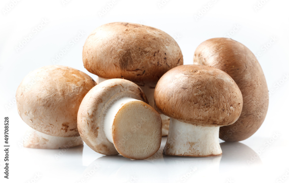 Mushroom. royal champignons on a white background Mushroom. royal champignons on a white background