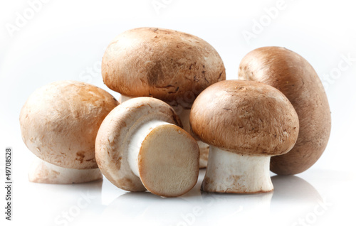 Mushroom. royal champignons on a white background