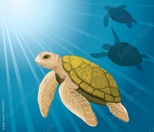 Fototapeta Naklejka Na Ścianę i Meble -  Cartoon turtles and sea