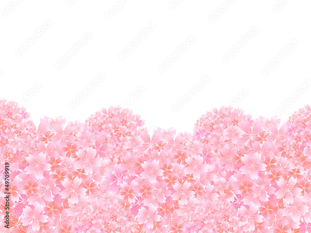 桜 さくら 背景 春 桜 さくら 背景 春