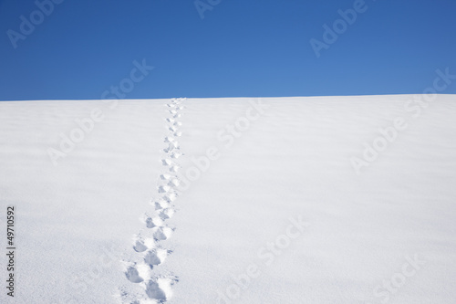 Spuren im Schnee