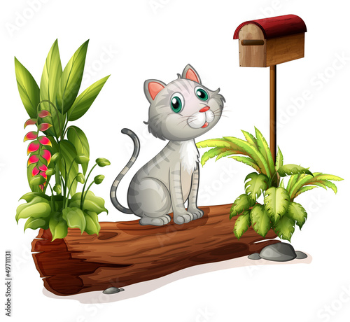A cat above a trunk near the wooden mailbox