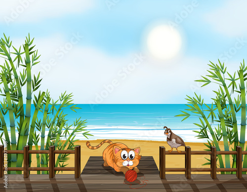 A cat and bird